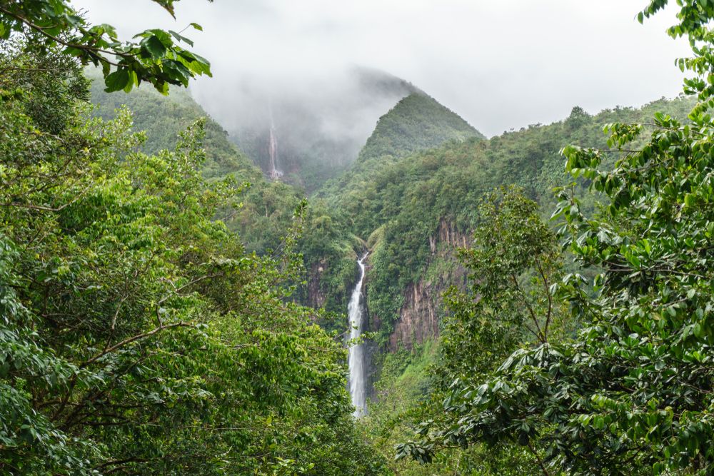 Chutes du Carbet Guadeloupe