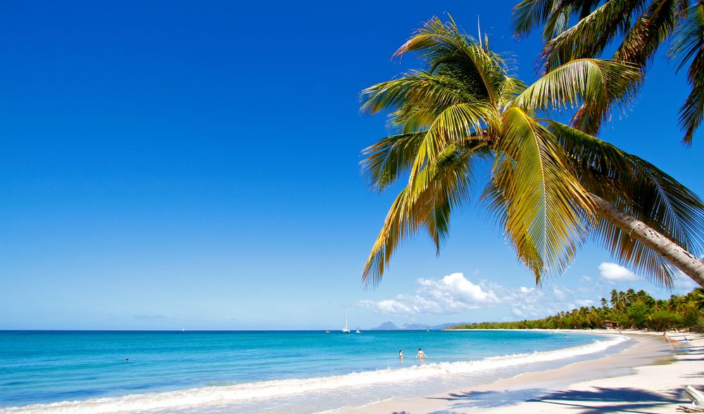 Plage des Salines Sainte Anne Martinique