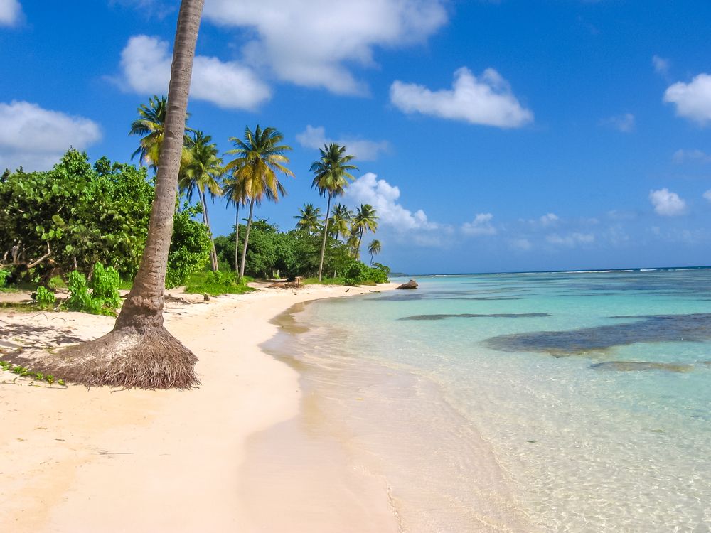 Plage Sainte Anne Guadeloupe