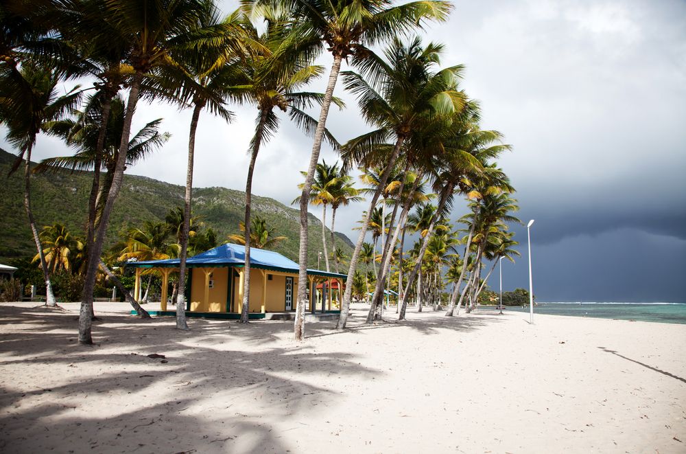 Désirade Guadeloupe