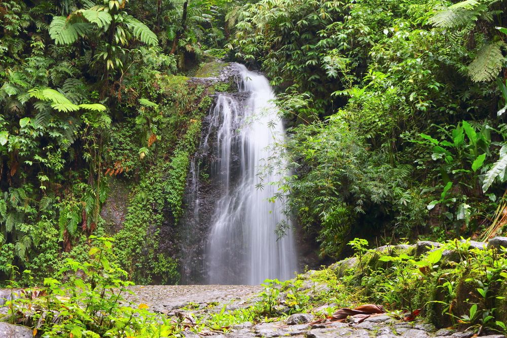 Cascade en Martinique